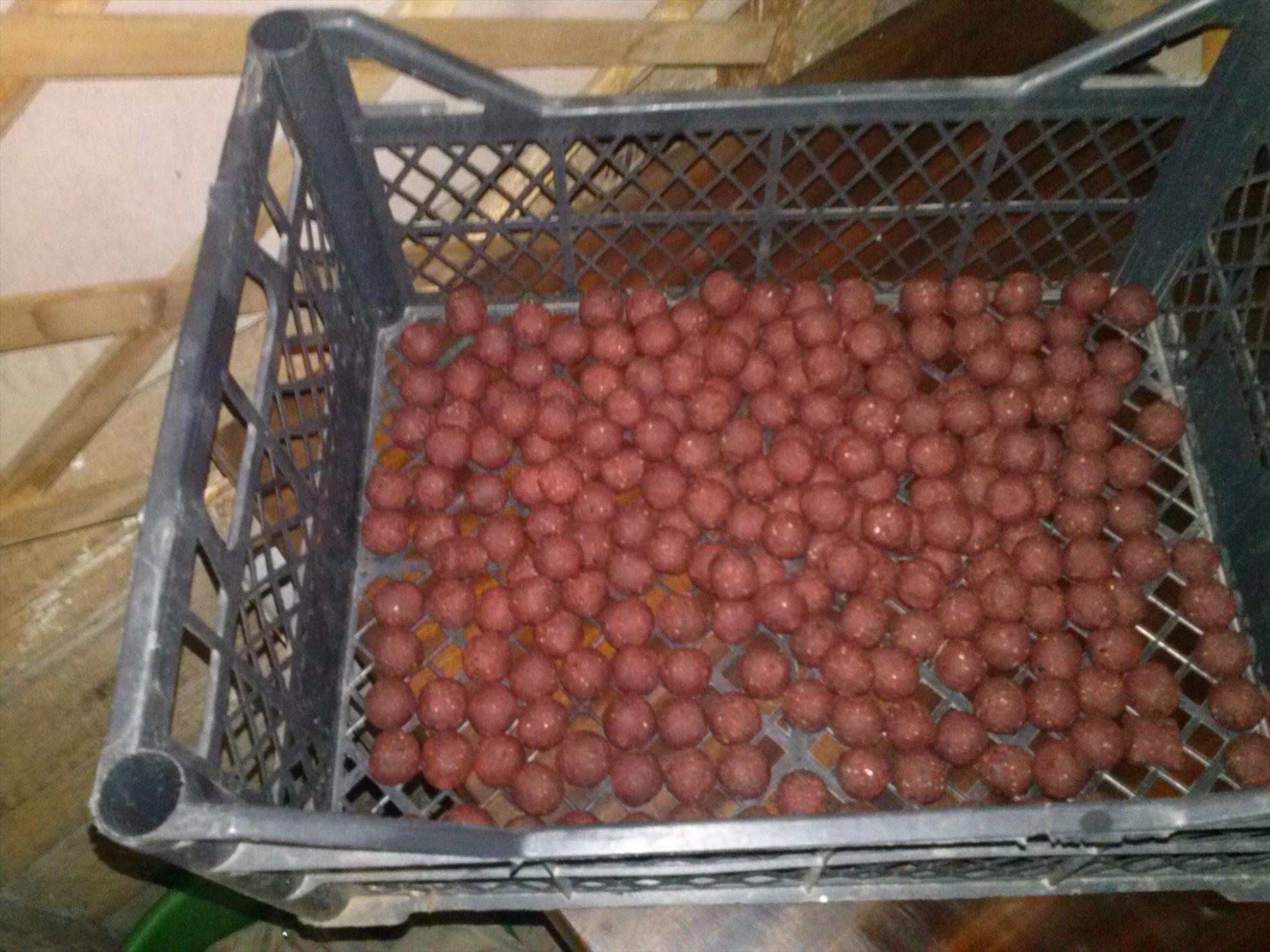 Cuibusorul meu de nebunii :-) - cam00006.jpg